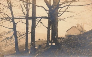 LP65 St Johnsbury Vermont Maple Sugar Trees 1922 RPPC Postcard - Bild 1 von 2