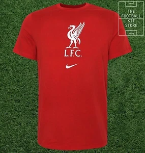 Nike Liverpool T-Shirt Red Youth - LFC Crest Tee Kids / Junior - All Sizes - Picture 1 of 5