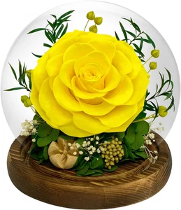 Preserved Rose Forever Flowers in Glass - Birthday Gifts for Women Mom, Real Flo - Picture 1 of 12