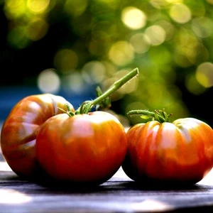 Cherokee Purple Organic Tomato Seeds Packet 50 seeds Juicy USA - Picture 1 of 3