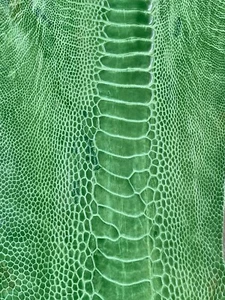 GENUINE OSTRICH LEG SKIN LEATHER HIDE EXOTIC LEATHER GREEN - Picture 1 of 6