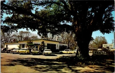 Albany GA Merry Acres Restaurant c1950s Autos Georgia postcard AP4 - Image 1 of 2