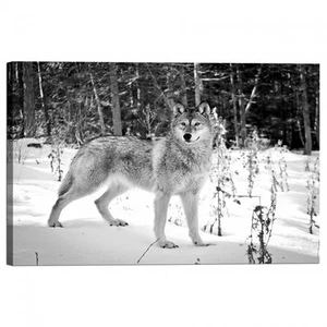 Peinture Impression sur Toile Avec Cadre les Loups - Imagen 1 de 1
