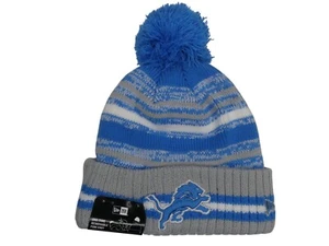 Authentic NFL Detroit Lions Skull Beanie Hat Gray & Honolulu Blue One Size F - Picture 1 of 6
