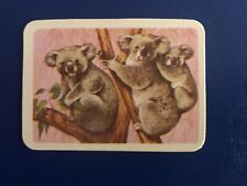 Tuckfields Animals The Koala Card 12 Second Printing