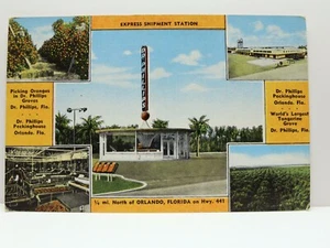 Postkarte Orlando FL Orangen Versandstation - Bild 1 von 2