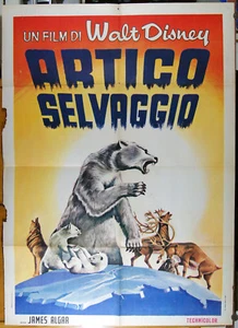 manifesto 2F film WHITE WILDERNESS - ARTICO SELVAGGIO Walt Disney anni '60 - Bild 1 von 1