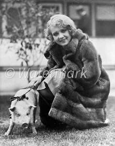 Anita Page - Vintage 1920s - American film actorin - flapper girl 8х10 Print - Bild 1 von 1
