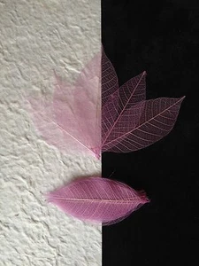 25 Skeleton Leaves Lavender Rubber Tree leaf veins Shower Invitations Baby cards - Picture 1 of 3