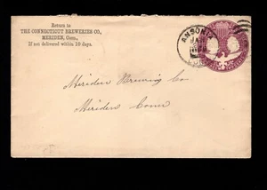 Connecticut Breweries - Meriden Brewery Ansonia CT 1894 Columbian PSE Cover 5g - Picture 1 of 2