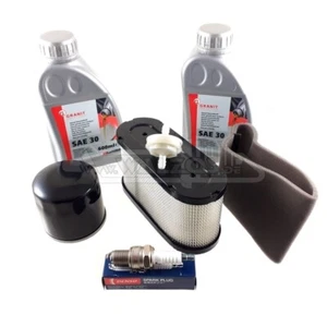 Wartungskit für Loncin Motor LC1P88F-1 90F-1 LC1P92F-1 Inspektionsset Öl Service - Bild 1 von 9