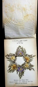 1904 Flowers of the Holy Land Blumen des Heiligen Landes Jerusalem Jewish Book - Picture 1 of 7
