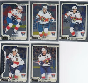 18/19 OPC Platinum Florida Panthers Team Set w/ RC - Barkov Borgstrom RC + - Picture 1 of 2