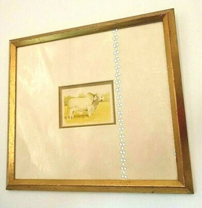 VTG BULL BRAHMA WATERCOLOR PEN INK ORIGINAL As-is FRAMED YELLOW GRAY BROWN EST - Picture 1 of 12