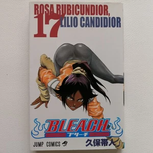 Cómics manga japoneses 2005 impresión 1ª edición Bleach vol.17 - Imagen 1 de 10