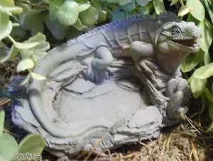 Lizard iguana latex mold / plastic backup concrete plaster reptile 6" x 5" - Picture 1 of 3