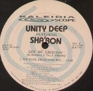 UNITY Deep - Got Me Groovin - 1992 Kaleidiascope USA - Kal 9138 - Picture 1 of 2