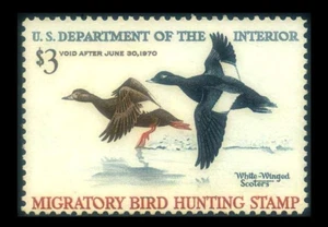 RW36 Duck Hunting $3 WHITE-WINGED SCOTERS 1969 MNH $70 SEE PHOTOS Lot N-646 - Picture 1 of 1