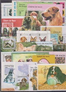 MM WHOLESALE - CTO - 17 S/S - DOGS - ANIMALS - Imagen 1 de 1