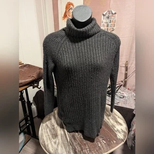 Eddie Bauer Gray Sweater dress turtleneck size medium - Picture 1 of 16