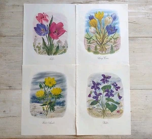 Vtg 1948 HOLIDAY Magazine SET of 7 LIBBIE LOVETT Spring FLOWERS Botanical PRINTS - Picture 1 of 19