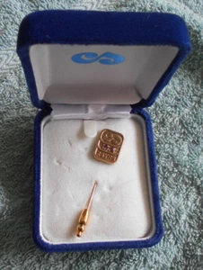 #D632.  CADBURY SCHWEPPES 25 YEARS SERVICE GOLD PIN - Bild 1 von 7