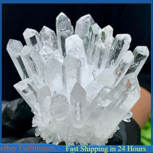 500-600g Large Natural Clear Quartz Crystal Cluster stone Geode Specimen Healing - Picture 1 of 18