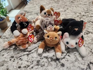 Lot of 7~ Ty Cat Beanie Babies - Picture 1 of 4