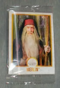 Harry Potter Wizarding World Chocolate Frog 3D Lenticular Merlin Card Sealed - Picture 1 of 3