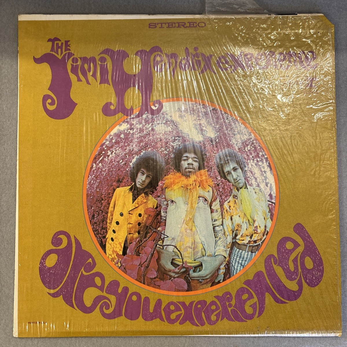 Jimi Hendrix Are You Experienced for sale | eBay