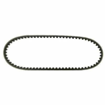 DAYCO R163750150 Correa De Transmisión Para HONDA 50 SFX 1997-1997 - Imagen 1 de 2