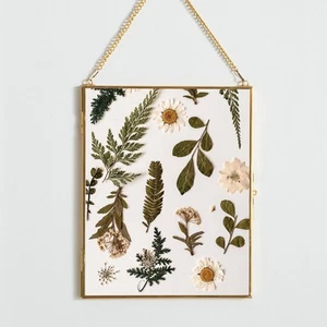 Brass Hanging Picture Frame,8x10 Double Glass Frame for Pressed Flowers, Clea... - Picture 1 of 8