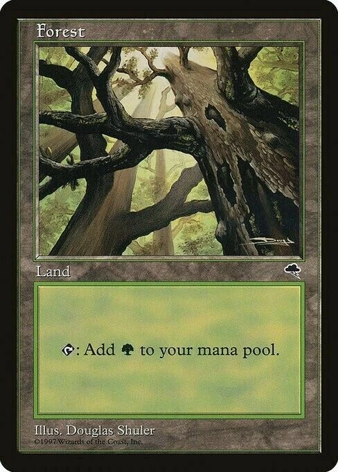 X4 Forest (Skyward) Tempest Light Play MTG Magic DNA GAMES - Image 1 of 1