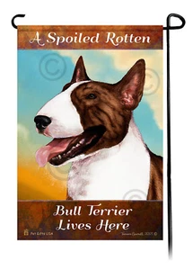 A Spoiled Rotten Brindle and White Bull Terrier Lives Here - Picture 1 of 1