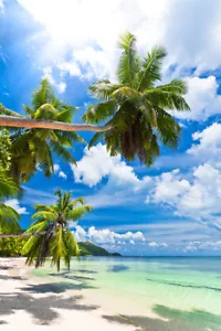 Tropical Sea Beach Scenery Silk Print Painting Wall Home Decor - POSTER 20x30 - Picture 1 of 4