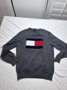 Tommy Hilfiger Men's Medium Crew Neck Thin Sweater Raised Big Flag Patch EUC - Picture 1 of 10