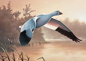 Daniel Smith - Federal Duck Stamp Print 1988 - S/N Lithograph - Signed - MINT - Foto 1 di 1