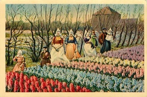 Postal Soldados Correo Gratis Campos de Flores Holandeses Ejército Fuerza Aérea Servicio Postal - Imagen 1 de 2