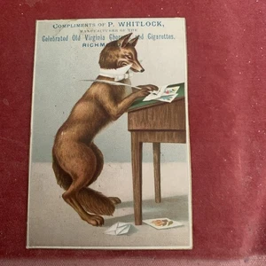 XL USA advert card - P Whitlock, Richmond, Virginia. Old Virginia Cigarettes - Picture 1 of 2