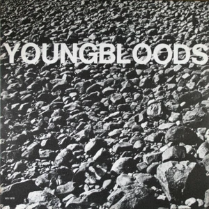 Youngbloods ~ Rock Festival 1970 33⅓ Vinyl LP Recording Warner Bros. NM/NM - Imagen 1 de 1