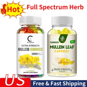 Mullein Leaf Gummies | Capsule For Lung Cleanse Detox Herbal Dietary Supplement - Picture 1 of 15