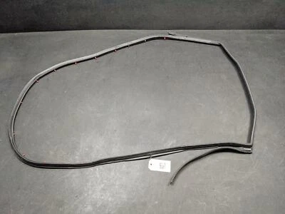 Puerta del conductor trasera izquierda Weatherstrip 2018 Nissan Altima 82831-9HS0B 2013-2016 2017 Foto 1 de 4