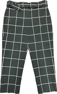 Ann Taylor Pants Black Windowpane Belted Women’s Size 12 - Picture 1 of 6