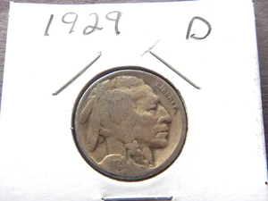 1929 (D) Indian Head/Buffalo Nickel - Bild 1 von 2