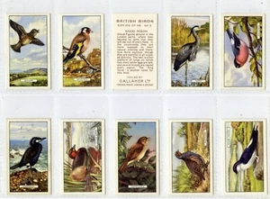 Full Set, Gallaher, British Birds 1937 VG-EX (Gd2563) 48/48 - Picture 1 of 1
