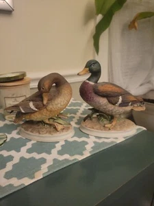 Vintage DRAKE & HEN Andrea of Sadek Mallard Ducks Porcelain Figurines - Bild 1 von 10