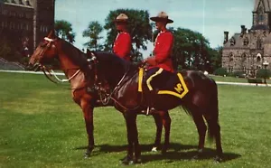 Vintage Postkarte 1961 The Royal Canadian Mountain Police Mounties Ontario Kanada - Bild 1 von 2
