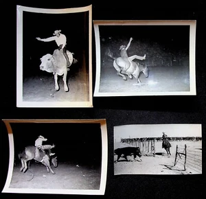 Lote de 4 fotos instantáneas vintage de vaquero a caballo Bronco Bulls en blanco y negro - Imagen 1 de 2
