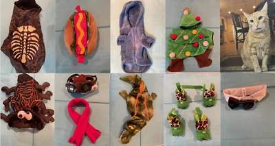 Disfraces Halloween Gato 2024 Foto 1 de 4