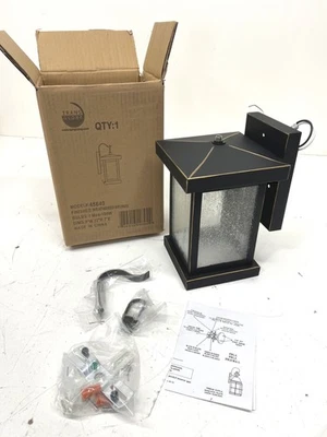 Iluminación Transglobe 1 luz bronce desgastado exterior luz de pared vidrio sembrado Foto 1 de 3